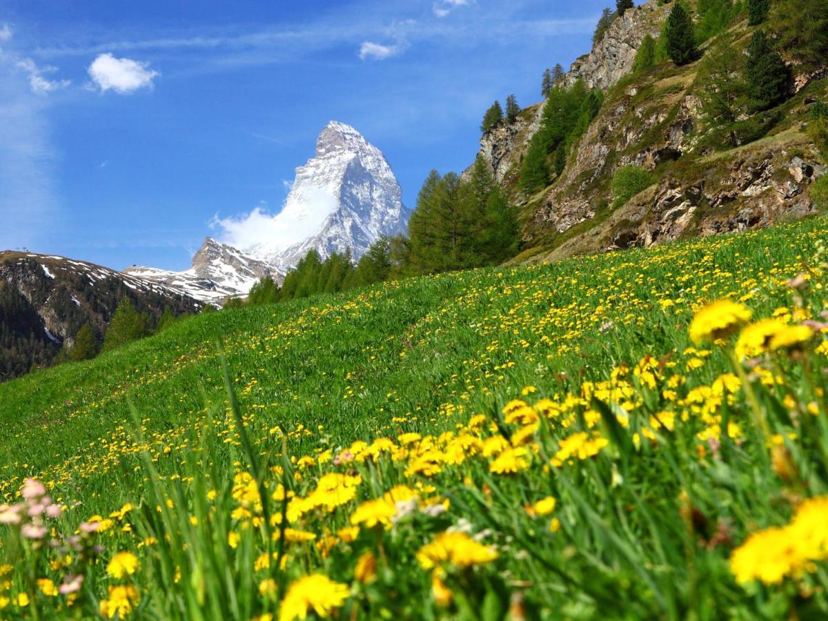 Apartment Kondor By Interhome Zermatt Eksteriør bilde