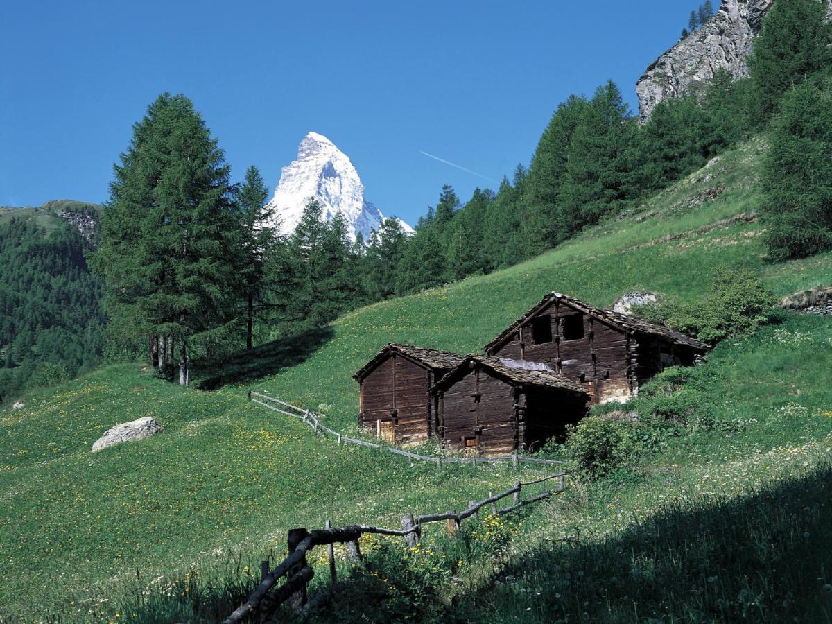 Apartment Kondor By Interhome Zermatt Eksteriør bilde